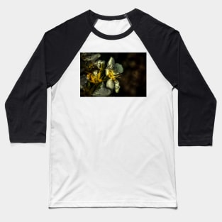 HDR Pear Blossom Baseball T-Shirt